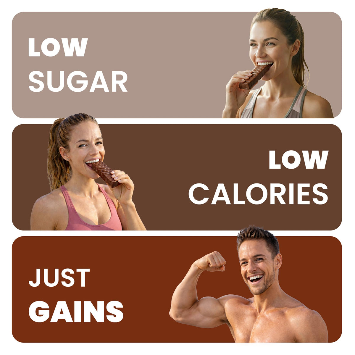 Chocolate-Flavored Protein Bar Variety