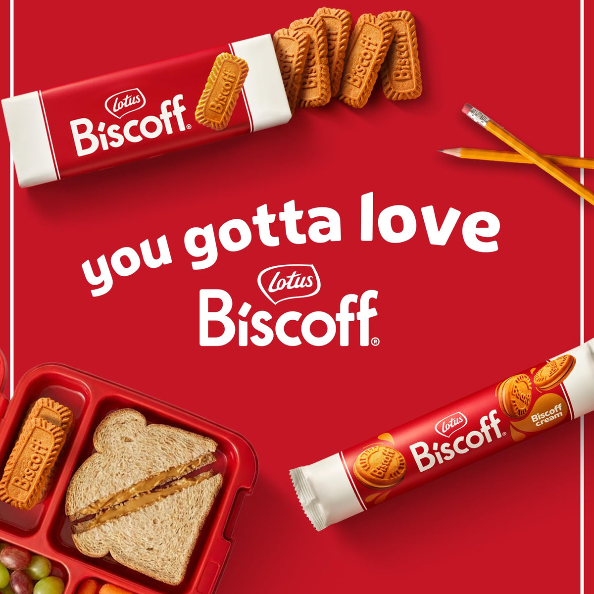 Individually Wrapped Caramelized Biscuits