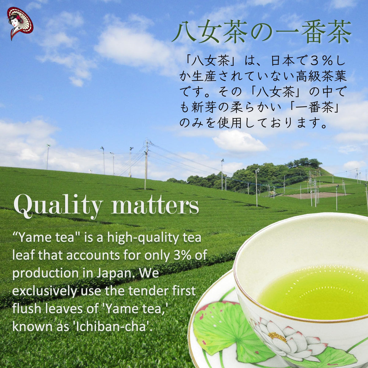 Sweetened Matcha Green Tea Powder Case